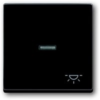 975.91 - Клавиша для механизма 1-клавишного выключателя/переключателя/кнопки, с прозрачной линзой и символом "СВЕТ", серия solo/future, цвет антрацит