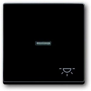 975.91 - Клавиша для механизма 1-клавишного выключателя/переключателя/кнопки, с прозрачной линзой и символом "СВЕТ", серия solo/future, цвет антрацит