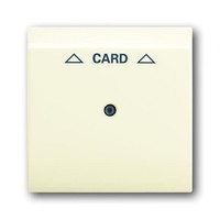 2CKA001753A0079 - Плата центральная (накладка) для механизма карточного выключателя 2025 U