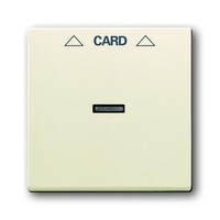2CKA001710A3640 - Плата центральная (накладка) для механизма карточного выключателя