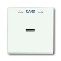 2CKA001710A3928 - Плата центральная (накладка) для механизма карточного выключателя 2025 U, серия solo/future, цвет белый бархат