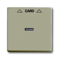 2CKA001710A3929 - Плата центральная (накладка) для механизма карточного выключателя