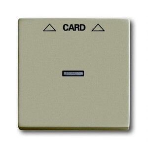 2CKA001710A3929 - Плата центральная (накладка) для механизма карточного выключателя
