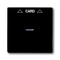 2CKA001710A3933 - Плата центральная (накладка) для механизма карточного выключателя