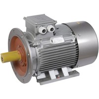 Электродвигатель асинхронный трехфазный АИР 200L6 660В 30кВт 1000об/мин 2081 DRIVE IEK
