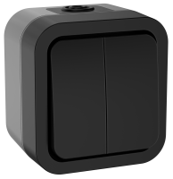 TORS Выключатель двухклавишный 10А IP55 TS105 графит IEK