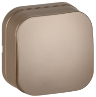 GLORY Выключатель 1-клавишный для открытой установки 10А ВС20-1-0-ХШм шампань матовый IEK