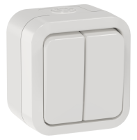 TORS Выключатель двухклавишный проходной 10А IP55 TS325 белый IEK