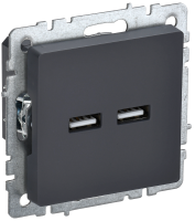 BRITE Розетка USB A+A 5В 3,1А РЮ10-1-БрГ графит IEK