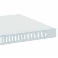 Панель потолочная с перфорацией, R 80.100 P