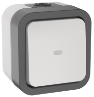 TORS Переключатель одноклавишный с индикацией 10А IP55 TS202 серо-белый IEK