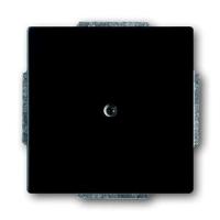 2CKA001710A3895 - Заглушка с суп.,solo/fut.,ч.бархат