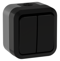 TORS Выключатель двухклавишный проходной 10А IP55 TS125 графит IEK