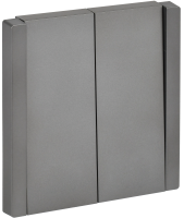 FORTE&PIANO Выключатель 2-клавишный 10А FP505 сталь IEK