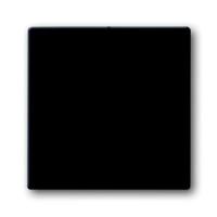 2CKA001751A2930 - Клавиша для механизма 2-клавишных выключателей/переключателей/кнопок