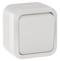 TORS Выключатель двухполюсный одноклавишный 10А IP55 TS311 белый IEK