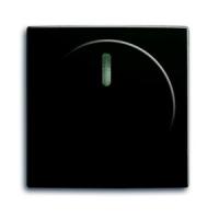 2CKA006599A2991 - Плата центральная (накладка) с поворотной ручкой