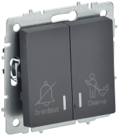 BRITE Выключатель 2-клавишный с индикацией для отелей 10А ВС10-2-9-БрГ графит IEK