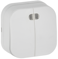 GLORY Выключатель 2-клавишный для открытой установки с индикацией 10А ВС20-2-1-ХБм белый матовый IEK