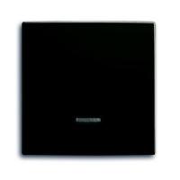 2CKA006599A2994 - Клавиша для светорегулятора