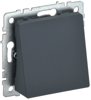 BRITE Вывод кабеля МВ10-БрГ графит IEK