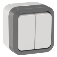 TORS Выключатель двухклавишный проходной 10А IP55 TS225 сер-бел IEK