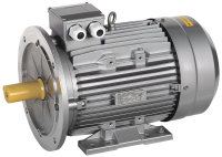 Электродвигатель асинхронный трехфазный АИС 355L2 660В 315кВт 3000об/мин 2081 DRIVE IEK