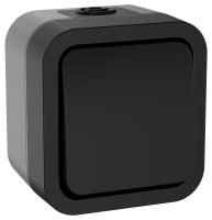 TORS Переключатель одноклавишный 10А IP55 TS101 графит IEK