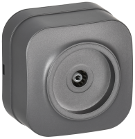 GLORY Розетка для открытой установки TV РТВ20-ХСм сталь матовый IEK