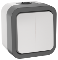 TORS Выключатель двухклавишный 10А IP55 TS205 серо-белый IEK