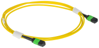 ITK Сборка кабельная MPO/APC female-MPO/APC female тип А 12ОВ SM OS2 3м