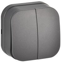 GLORY Выключатель 2-клавишный для открытой установки 10А ВС20-2-0-ХСм сталь матовый IEK